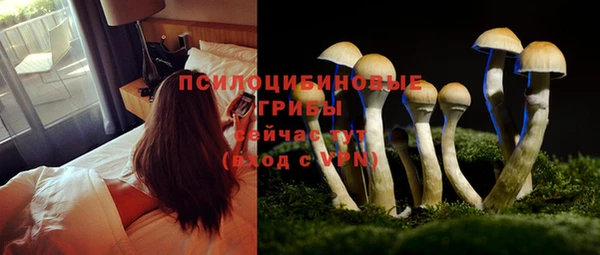 прущий лед Инсар