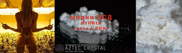 прущий лед Инсар
