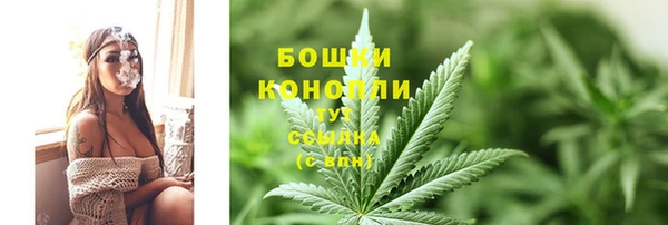 прущий лед Инсар