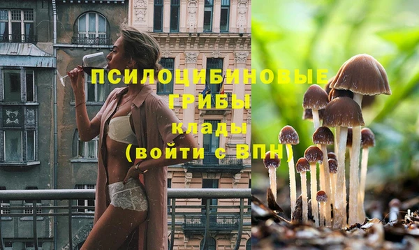 альфа пвп VHQ Инта