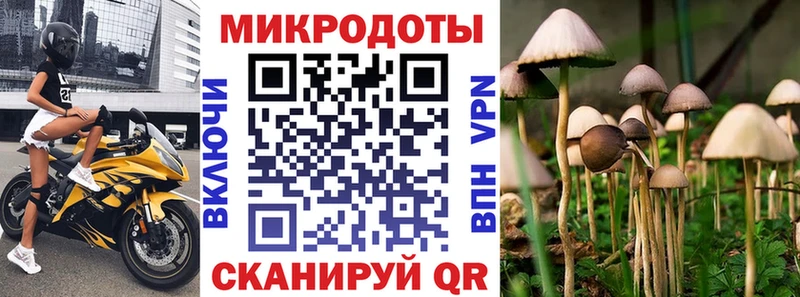 Купить где  Белореченск  Галлюциногенные грибы прущие грибы 